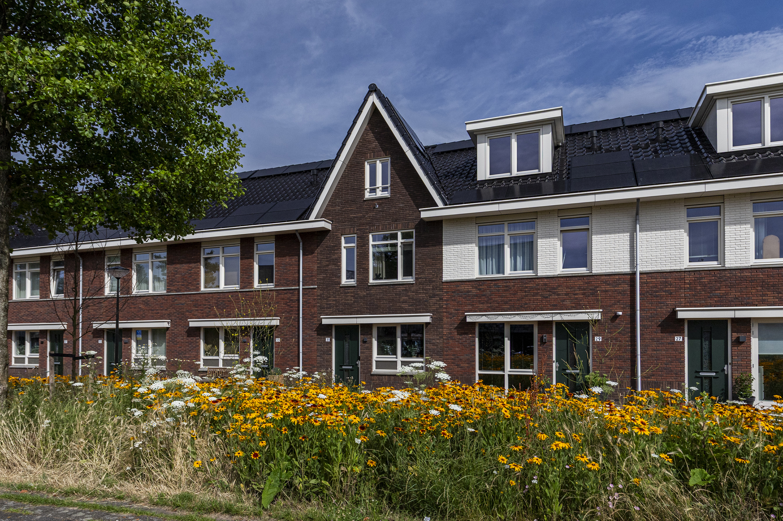 Edgar du Perronstraat 31, ‘s-gravenhage